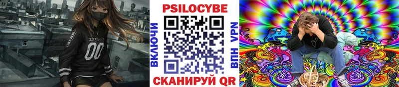 Галлюциногенные грибы Psilocybine cubensis  где найти наркотики  Нерюнгри 